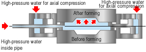 Axial compression hydroforming